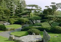 Feng Shui Garden Design, Japanese Garden Plants, Feng Shui Garden, Budget Landscaping, Rock Garden Landscaping, Vegetable Garden Design