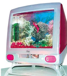 an aquarium with corals and fish in it