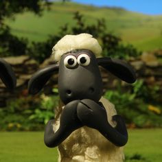 a black and white sheep standing on its hind legs