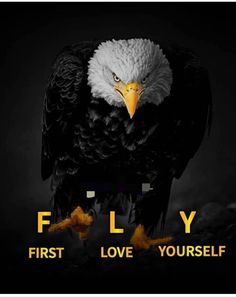 an eagle with the words fly first love yourself