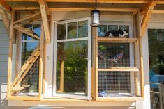 two cats sitting in the window of a house