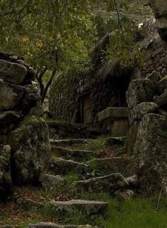 stone steps lead up to a small cabin in the woods with moss growing on them