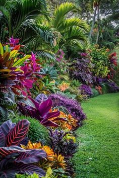 the garden is full of colorful flowers and plants, including palm trees in the background