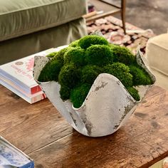 a vase filled with green moss sitting on top of a wooden table next to a couch