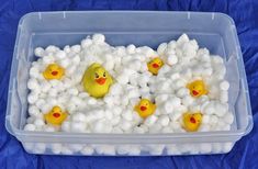 a plastic container filled with white cotton balls and rubber ducky toys in it's center