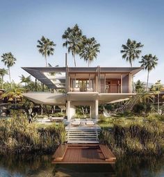 the house is surrounded by palm trees and water