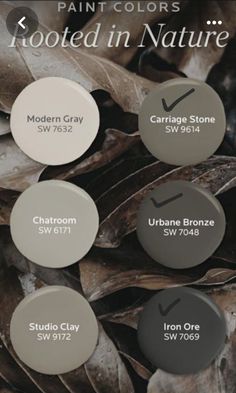 some paint colors that are in the same color scheme, including white and grays