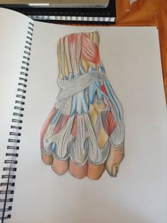 a drawing of a hand with muscles drawn on it