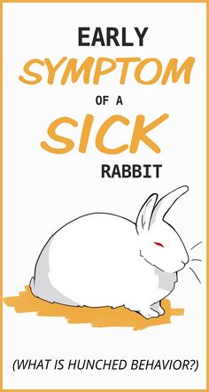 an animal with the words, early sympton of a sick rabbit