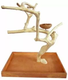 a sculpture of a person balancing on a branch with a bowl in front of it