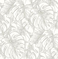 a drawing of leaves in grey and white on a wallpaper background with the words,