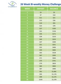 an iphone screen showing the daily money balances for each month and how much they cost