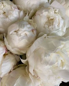 a bunch of white peonies sitting on top of each other in a vase