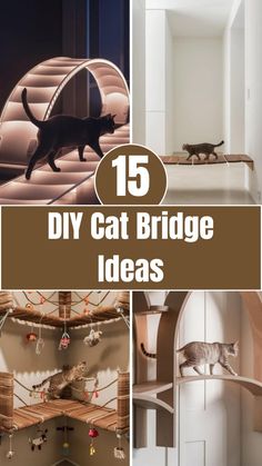 15 diy cat bridge ideas that are easy to make and great for your cats