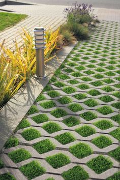 the grass is growing on the side of the road in front of some bushes and flowers