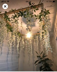 some white flowers hanging from the ceiling in front of a light fixture and a plant