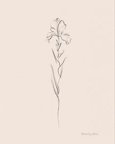 flower pencil minimal drawing Flower Tattoos Iris, Delicate Iris Tattoo, Subtle Flower Tattoo, Tattoo Of Iris Flower, Flower Iris Tattoo, Iris Minimalist Tattoo, Iris Tattoo Line Art, Minimalist Iris Flower Tattoo, Tiny Iris Tattoo