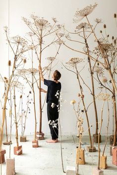 a woman standing in front of a bunch of tall trees with white flowers on them