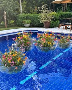 an empty swimming pool with flowers in it