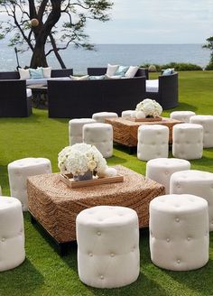 an image of a table with white flowers on it in the middle of some grass