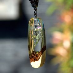 a glass pendant with plants in it hanging from a chain