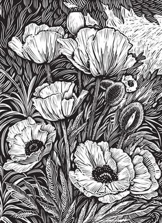 black and white drawing of flowers in the grass