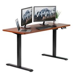 two computer monitors sitting on top of a black desk next to a plant and keyboard