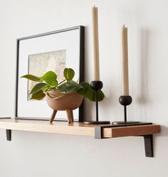 a couple of candles sitting on top of a shelf next to a potted plant