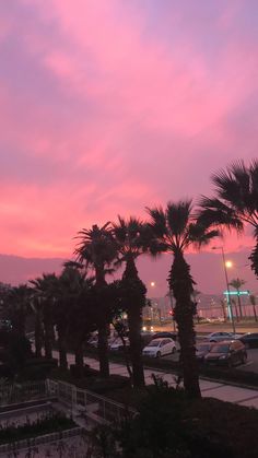 palm trees are silhouetted against the pink sky at dusk in this cityscape photo