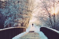 a person is walking across a bridge in the snow with trees and bushes on either side