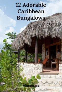 a small hut with thatched roof and steps leading up to the front door is surrounded by greenery