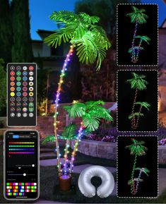 the palm tree is decorated with multicolored lights