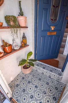 a potted plant sitting on top of a table next to a blue front door