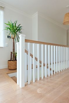 an empty room with white railings and a potted plant