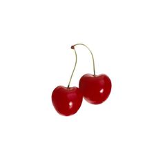 two cherries on a white background