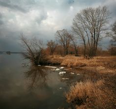 a body of water surrounded by grass and trees