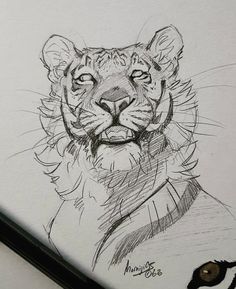 a pencil drawing of a tiger wearing a sweater