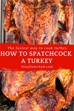 spatchcock turkey in a roaster pan Turkey Recipes Using Oven Bag, Easy Turkey In A Bag, Turkey In A Bag Thanksgiving, What To Baste A Turkey With, Turkey In Paper Bag In Oven, Best Turkey Recipe Thanksgiving In Bag, Moist Turkey Thanksgiving In Bag, Cooking A 15 Pound Turkey, Roast Turkey In A Bag