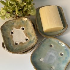 three bowls with soap on them next to a potted plant and a candle holder