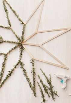 some sticks are laying on the floor next to plants and glue stick holders with needles sticking out of them