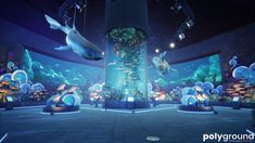 an aquarium filled with lots of different types of fish and other aquatic creatures in it