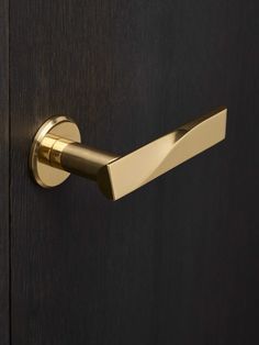 a close up of a door handle on a dark wood door with gold trimming