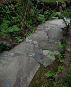 a stone path in the middle of a forest