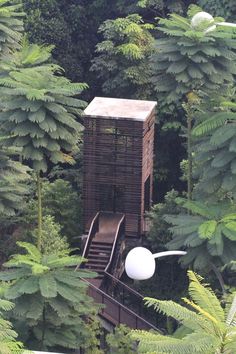 a wooden structure in the middle of trees with stairs leading up to it and a light on top