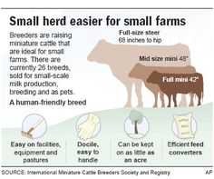 an info sheet describing the benefits of small herders for small farms and farm animals