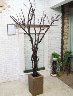 there is a tree that has been placed in a vase on the floor next to a brick wall