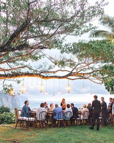 a group of people sitting around a table under a tree with lights hanging from it