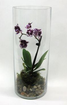 a glass vase filled with rocks and flowers