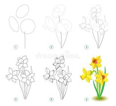 how to draw daffodils step by step