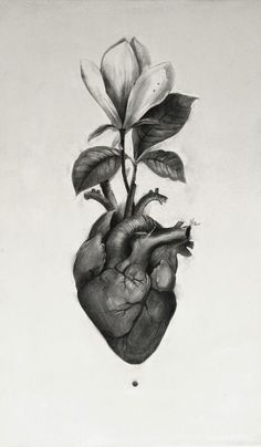 a drawing of a human heart with a flower growing out of it's side